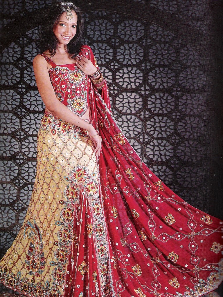 Indian Wedding Dresses 2014 4
